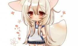 银狐动漫图片,探寻神秘银狐的奇幻冒险之旅